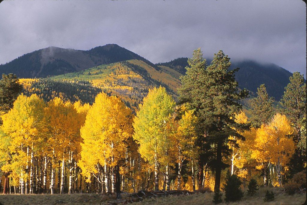 “The Mountains are Calling”: Flagstaff & the Sublime